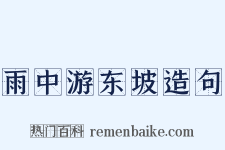 雨中游东坡造句是什么意思的图片